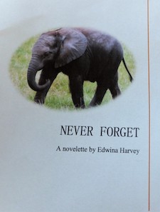 Never Forget cover